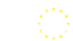 Università di Pisa Jean Monnet Project
